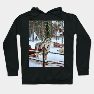 Lapland Hoodie